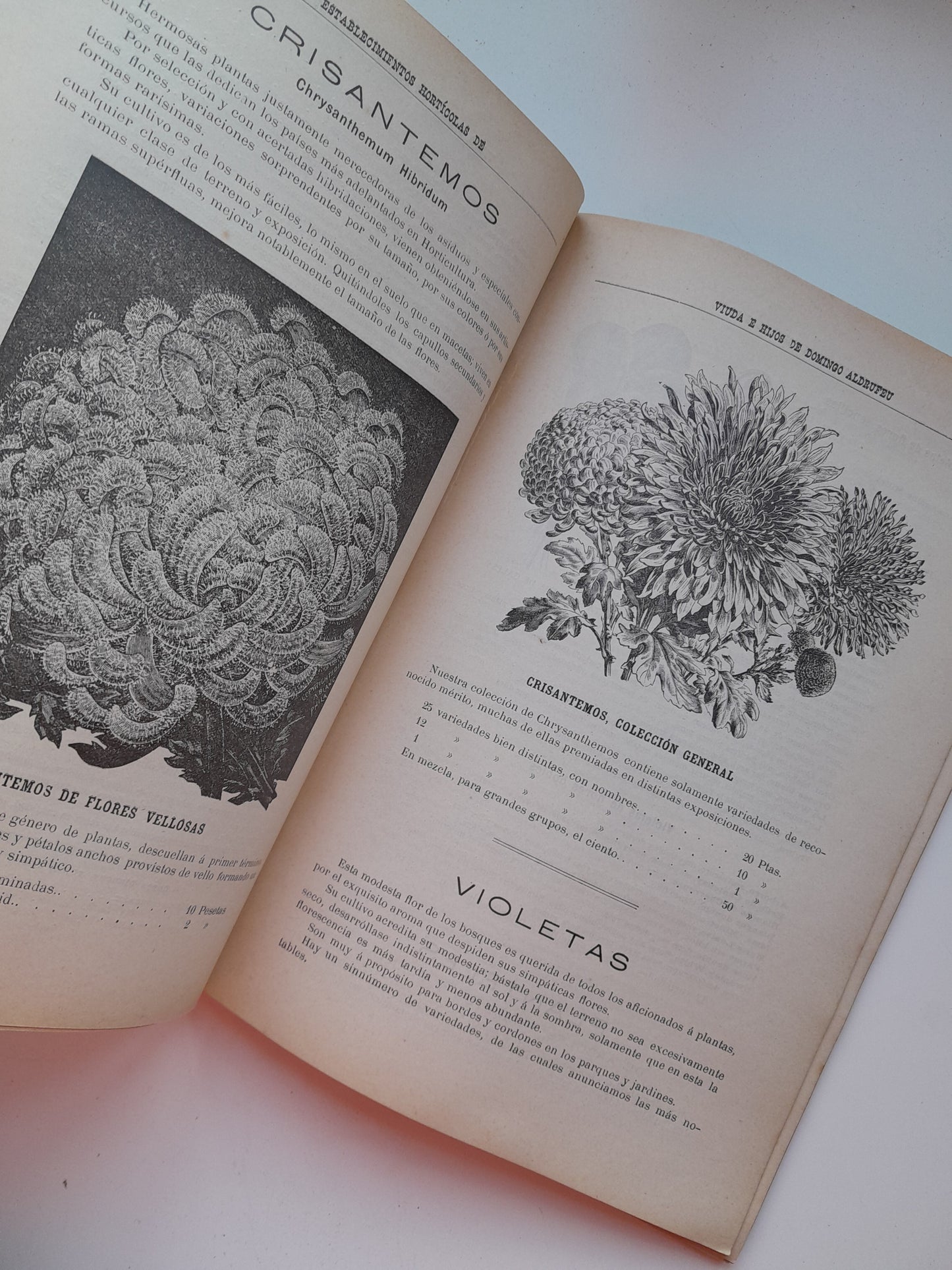 CATÁLOGO DEL ESTABLECIMIENTO VDA. E HIJOS DE DOMINGO ALDRUFEU, HORTICULTORES (c.1900)