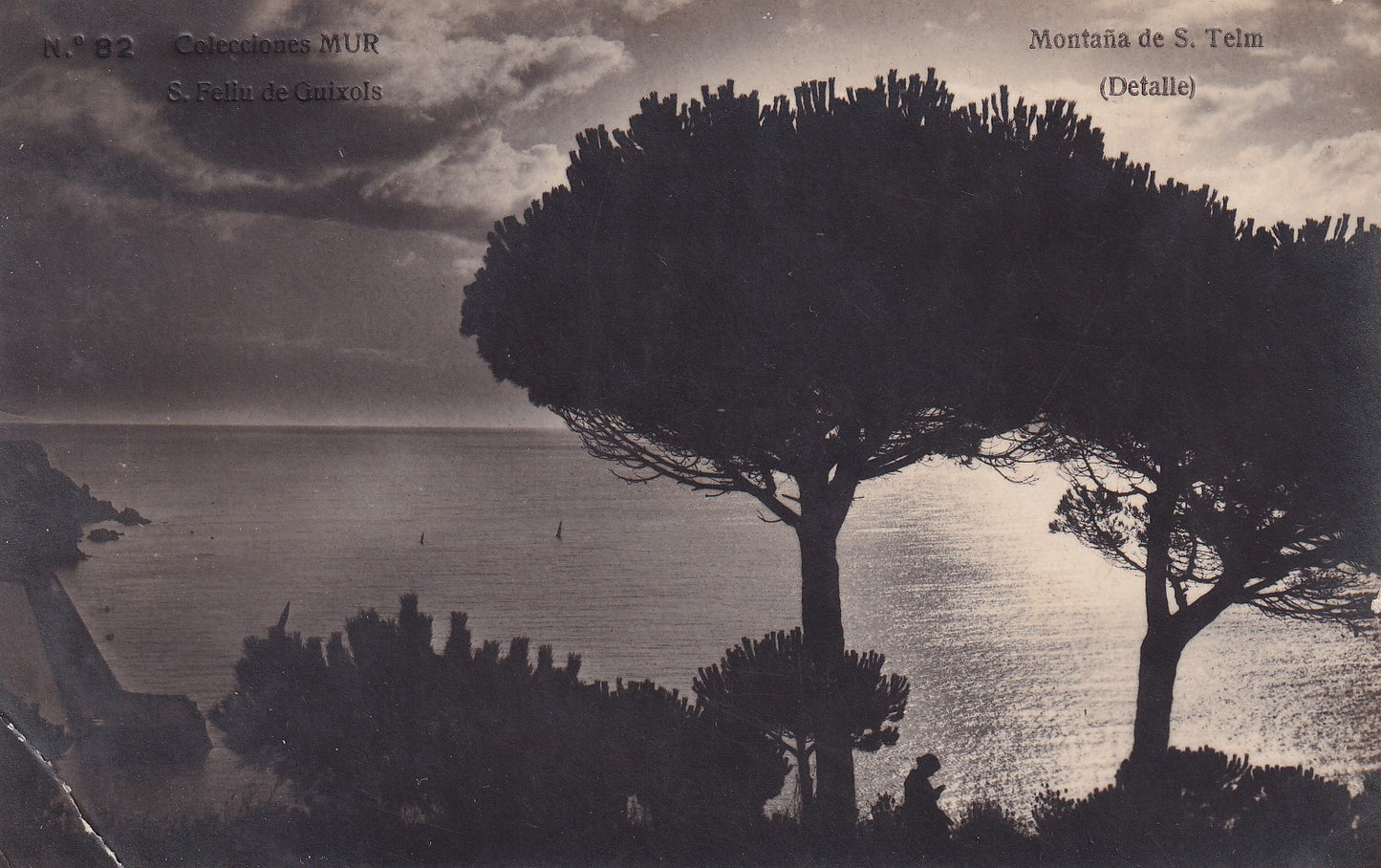 SANT FELIU DE GUÍXOLS - 82. MONTAÑA DE S. TELM. DETALLE